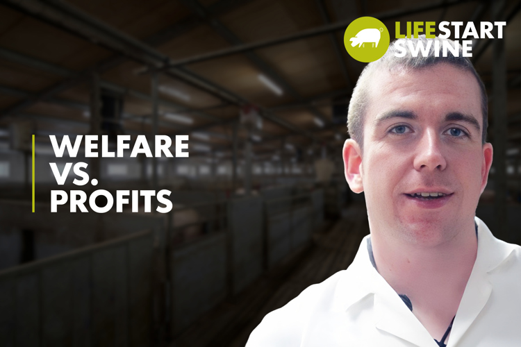 Shane McAuliffe, Pig Farmer & Lecturer based in Ireland